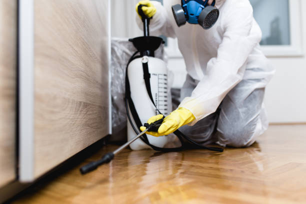 Best Residential Pest Control  in Montana City, MT