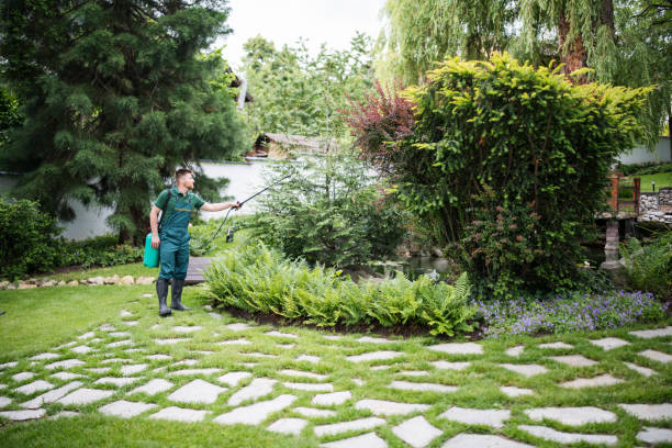 Best Affordable Pest Control Services  in Montana City, MT